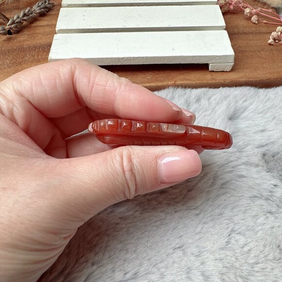 Cute Small Carnelian Seahorse Carving - Picture 5 of 6